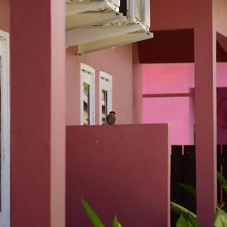Baronda Guest House Sorong Exteriör bild