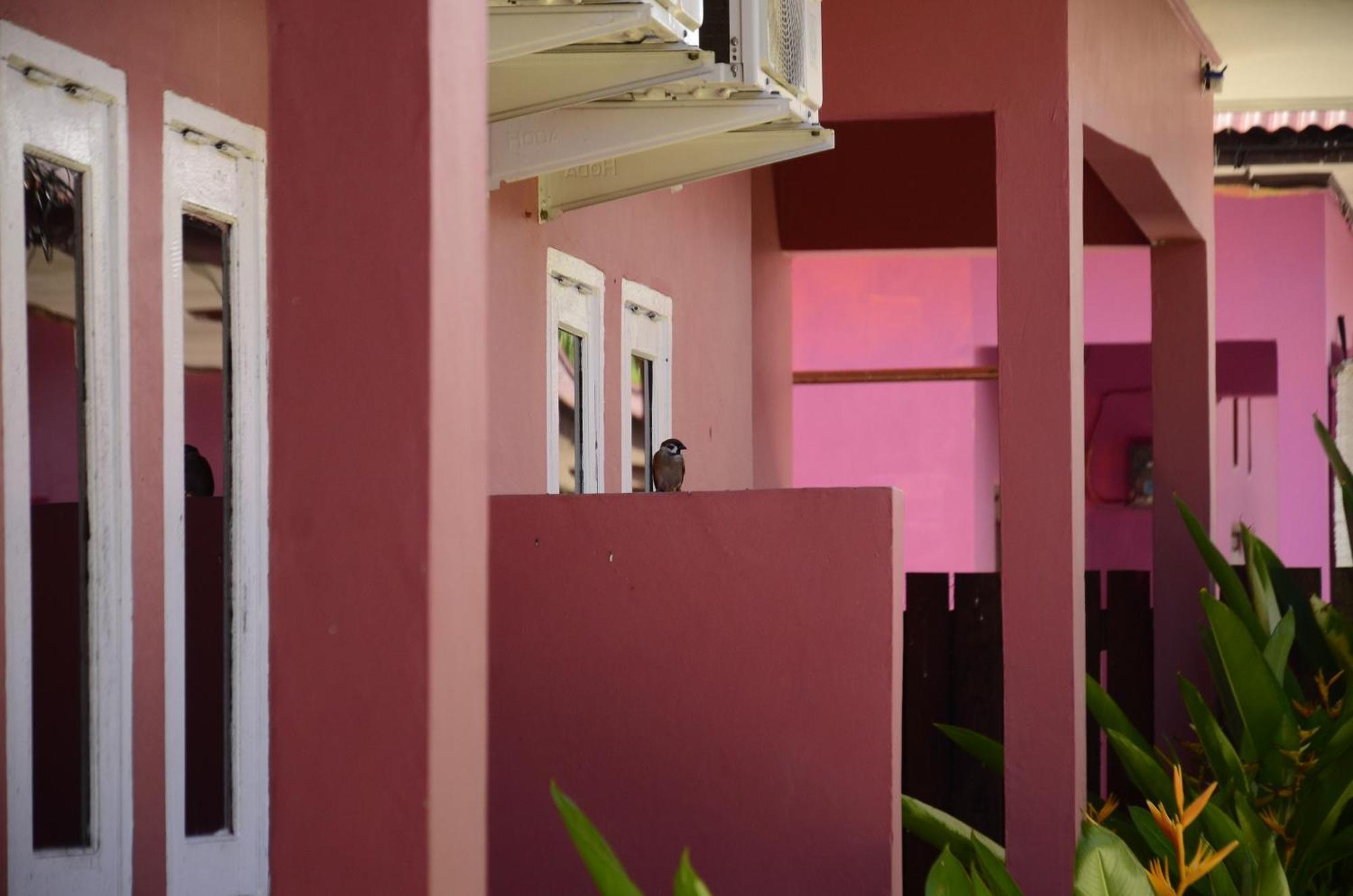 Baronda Guest House Sorong Exteriör bild